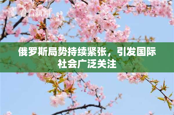 俄罗斯局势持续紧张，引发国际社会广泛关注