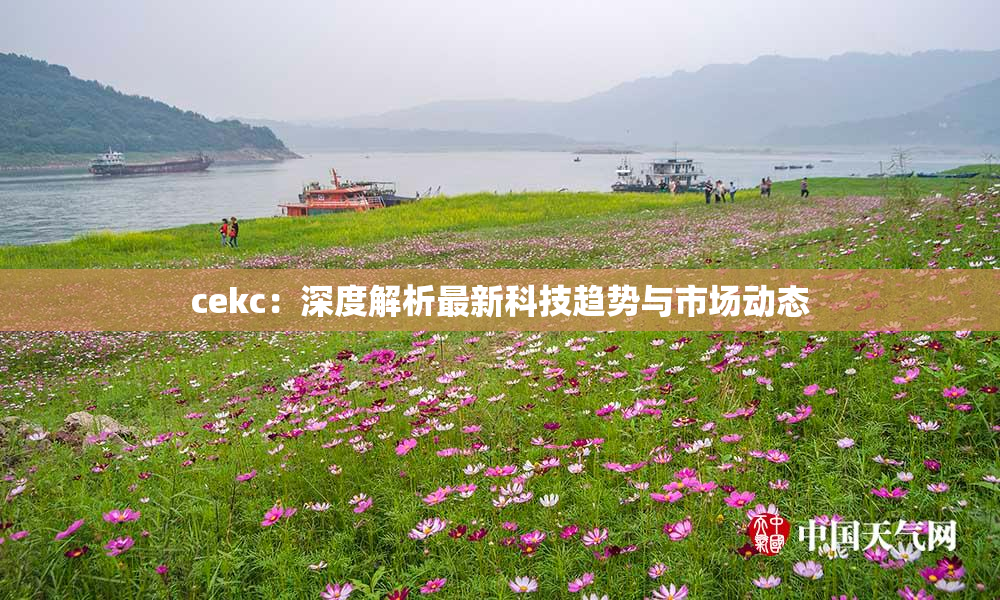 cekc：深度解析最新科技趋势与市场动态