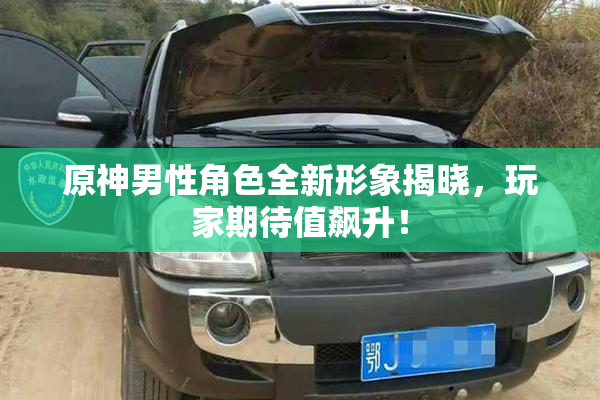 原神男性角色全新形象揭晓，玩家期待值飙升！
