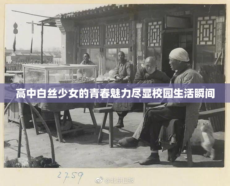 高中白丝少女的青春魅力尽显校园生活瞬间