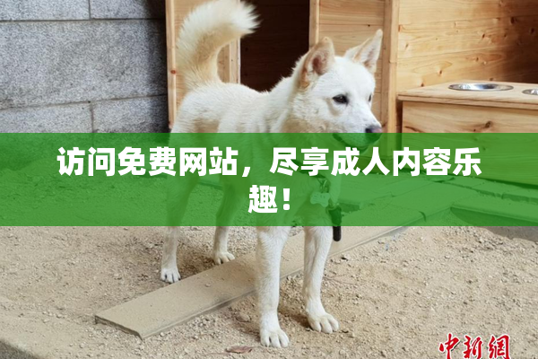 访问免费网站，尽享成人内容乐趣！