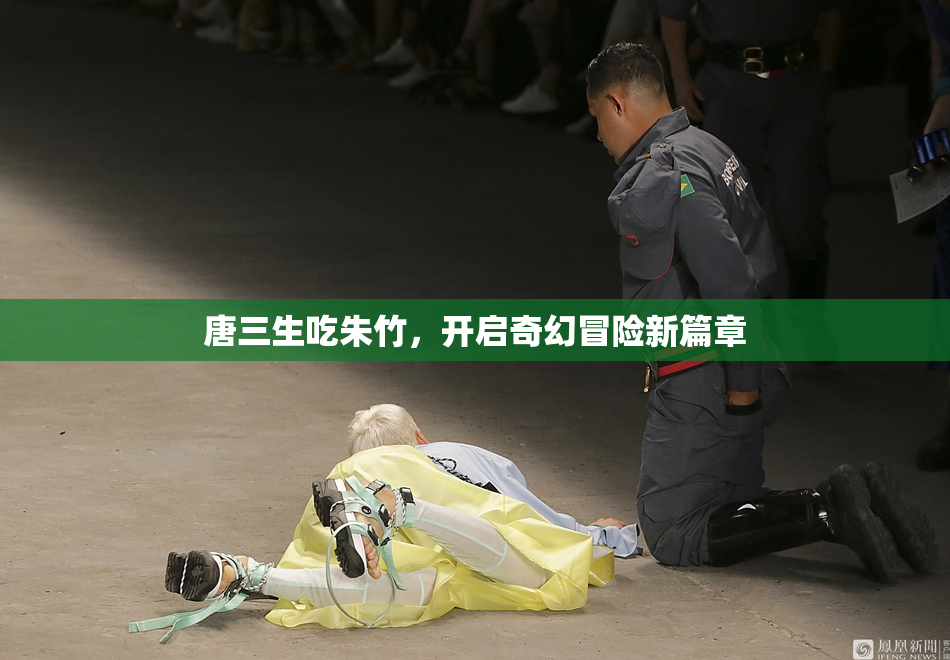 唐三生吃朱竹，开启奇幻冒险新篇章