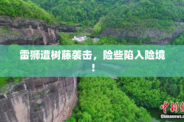雷狮遭树藤袭击，险些陷入险境！