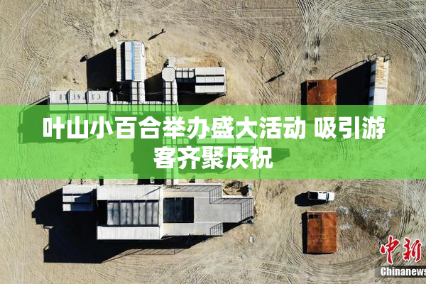 叶山小百合举办盛大活动 吸引游客齐聚庆祝