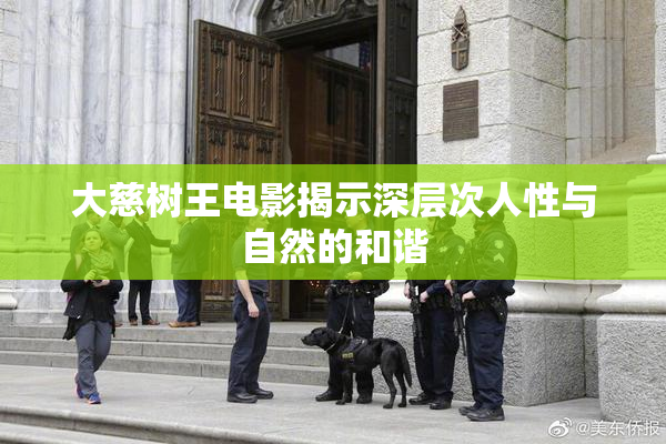 大慈树王电影揭示深层次人性与自然的和谐