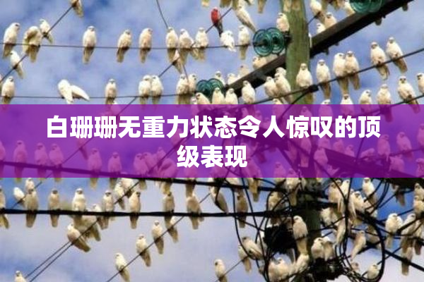 白珊珊无重力状态令人惊叹的顶级表现
