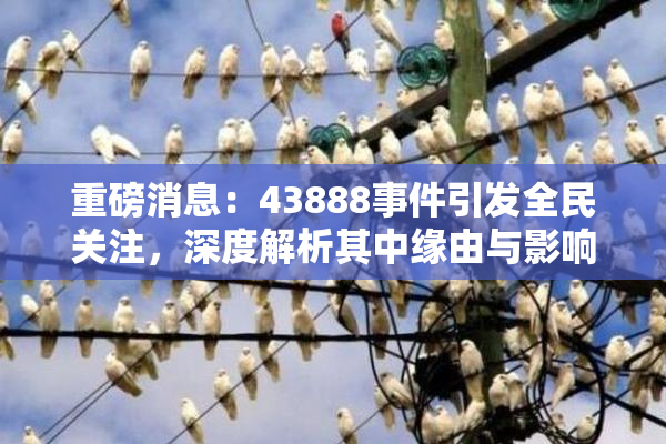 重磅消息：43888事件引发全民关注，深度解析其中缘由与影响
