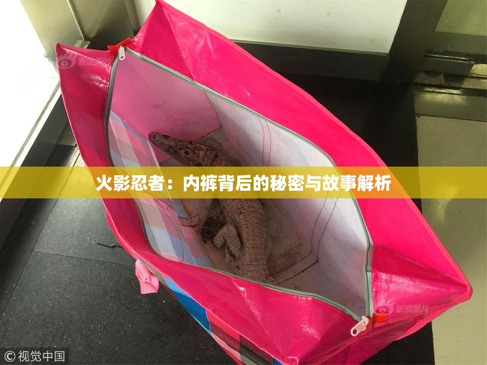 火影忍者：内裤背后的秘密与故事解析