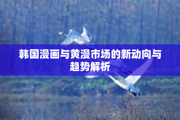 韩国漫画与黄漫市场的新动向与趋势解析