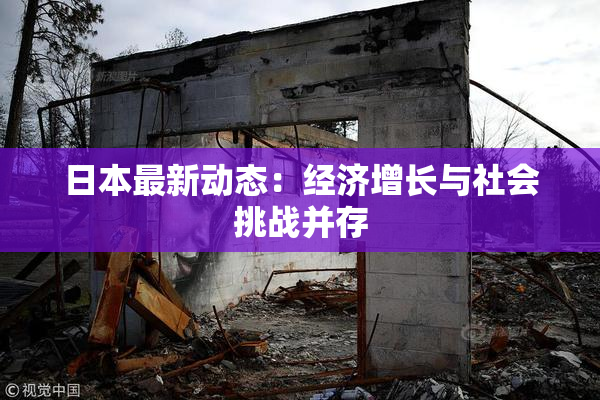 日本最新动态：经济增长与社会挑战并存