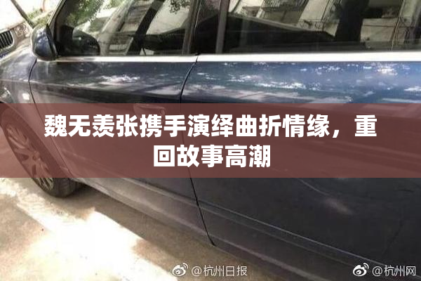 魏无羡张携手演绎曲折情缘，重回故事高潮