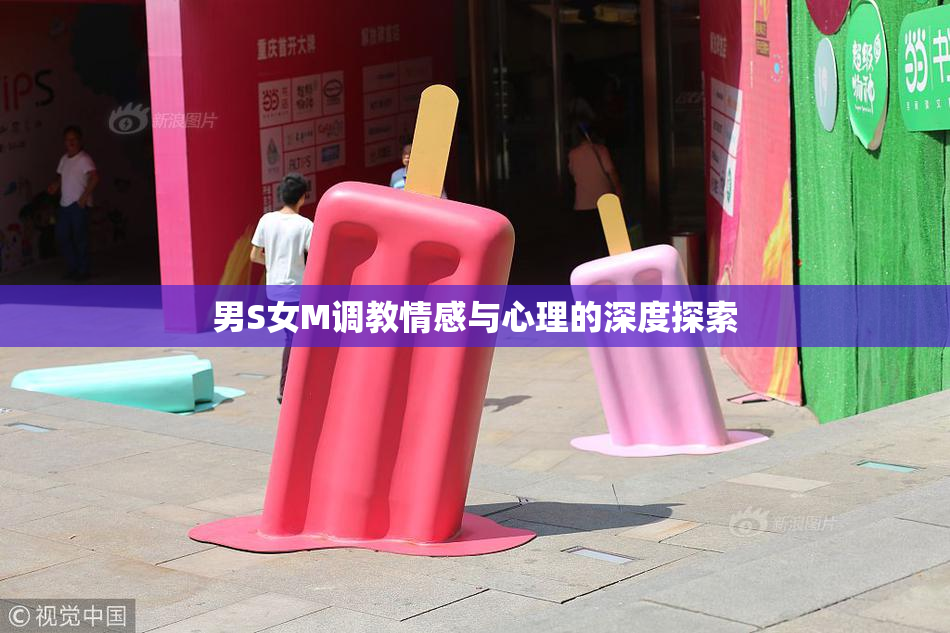男S女M调教情感与心理的深度探索
