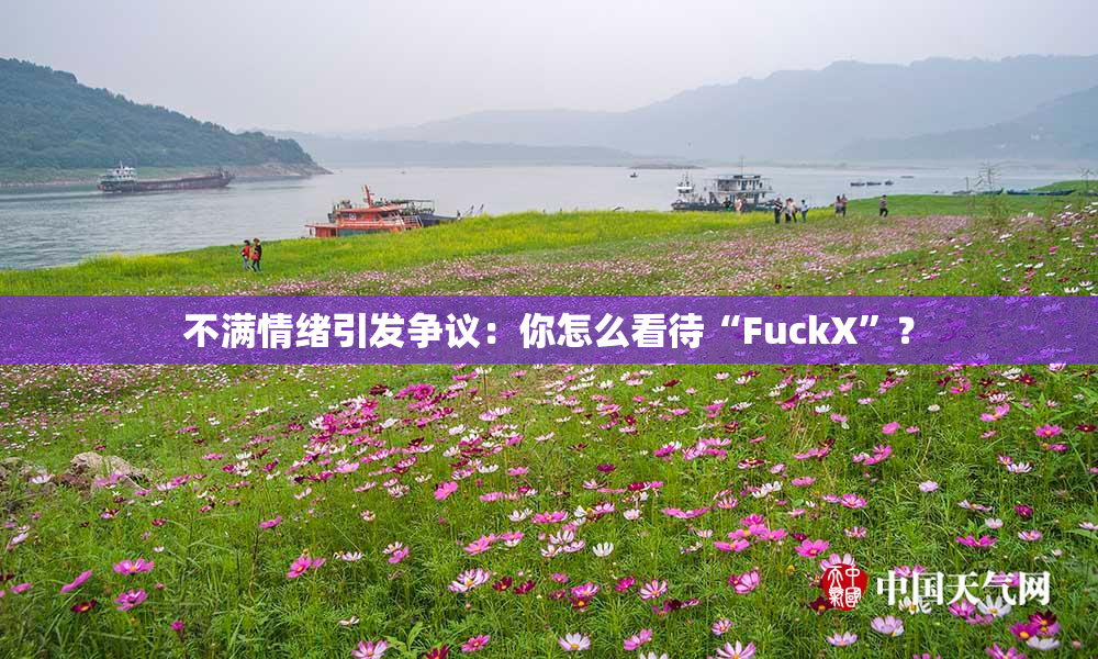 不满情绪引发争议：你怎么看待“FuckX”？