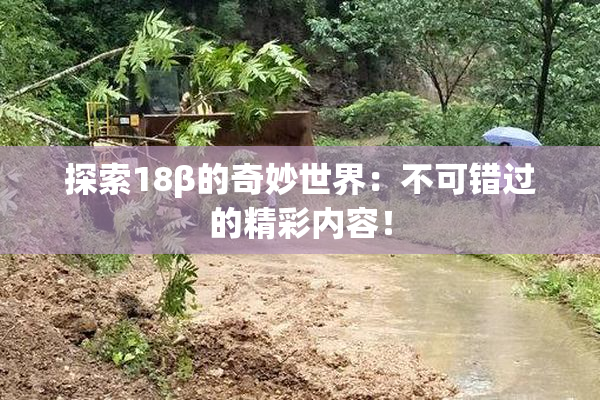 探索18β的奇妙世界：不可错过的精彩内容！