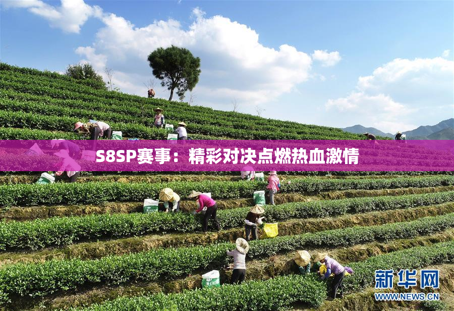 S8SP赛事：精彩对决点燃热血激情