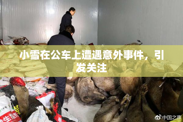 小雪在公车上遭遇意外事件，引发关注