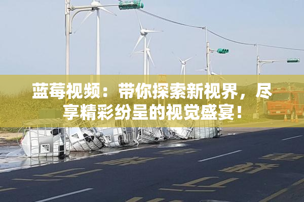 蓝莓视频：带你探索新视界，尽享精彩纷呈的视觉盛宴！