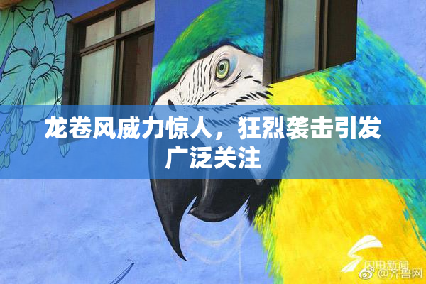 龙卷风威力惊人，狂烈袭击引发广泛关注