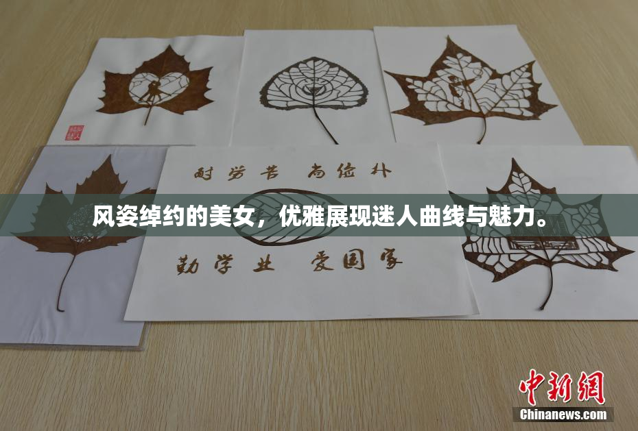风姿绰约的美女，优雅展现迷人曲线与魅力。