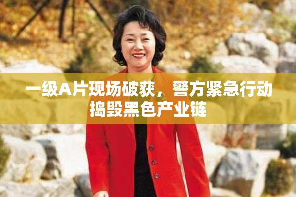 一级A片现场破获，警方紧急行动捣毁黑色产业链