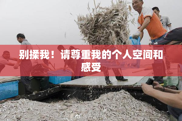 别揉我！请尊重我的个人空间和感受