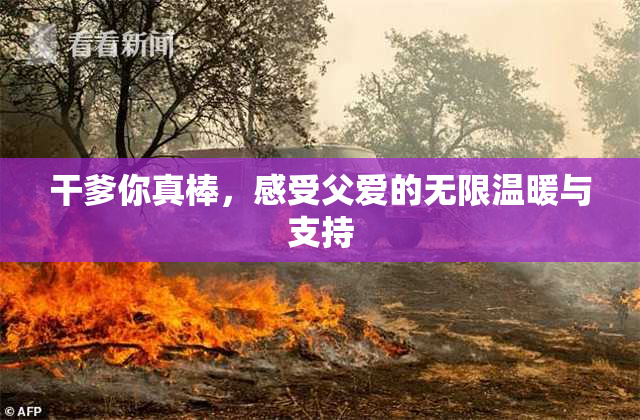干爹你真棒，感受父爱的无限温暖与支持