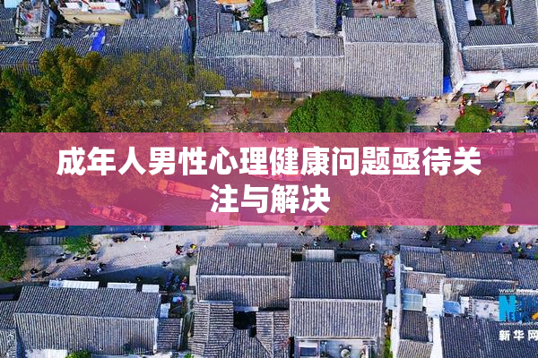 成年人男性心理健康问题亟待关注与解决