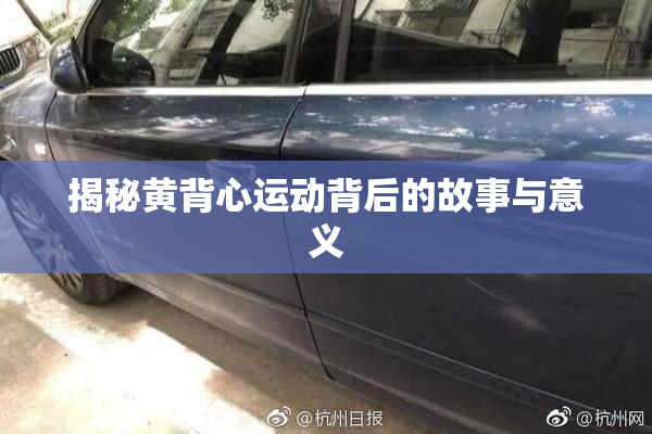 揭秘黄背心运动背后的故事与意义