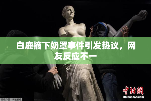 白鹿摘下奶罩事件引发热议，网友反应不一