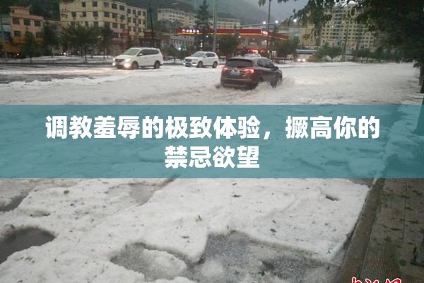 调教羞辱的极致体验，撅高你的禁忌欲望