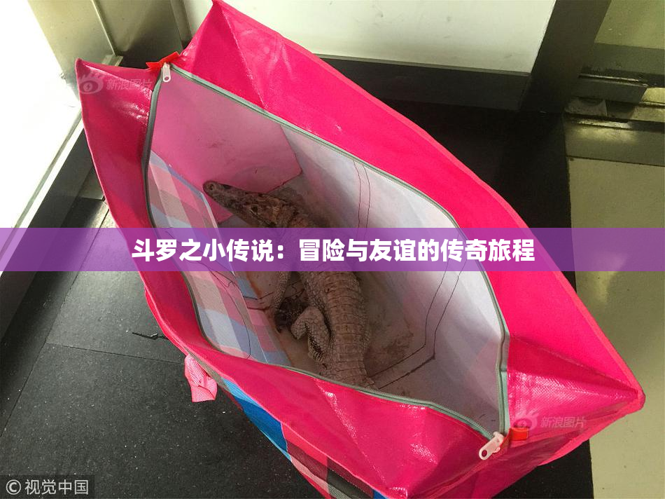 斗罗之小传说：冒险与友谊的传奇旅程