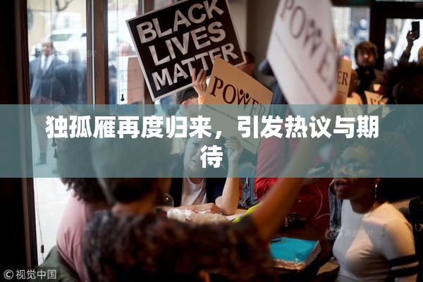 独孤雁再度归来，引发热议与期待