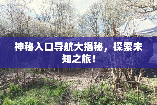 神秘入口导航大揭秘，探索未知之旅！