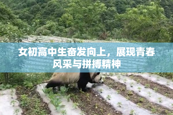 女初高中生奋发向上，展现青春风采与拼搏精神