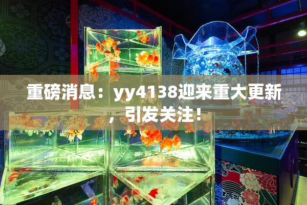 重磅消息：yy4138迎来重大更新，引发关注！