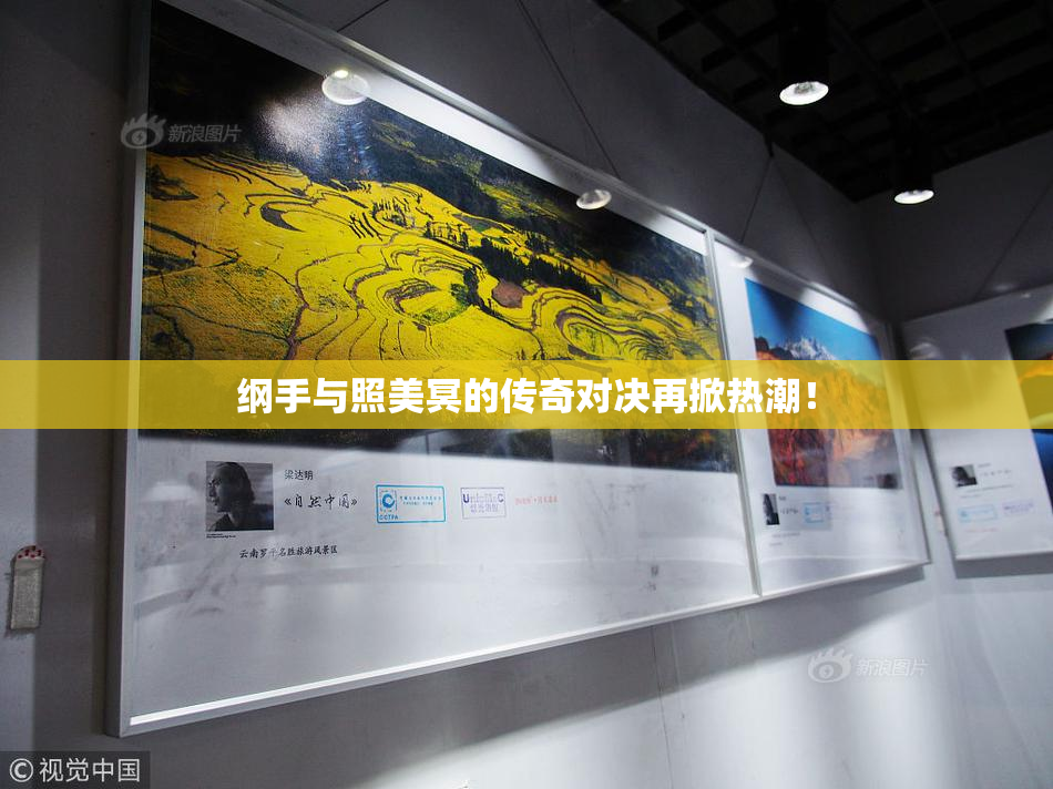 纲手与照美冥的传奇对决再掀热潮！