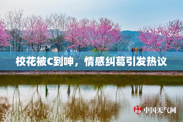 校花被C到呻，情感纠葛引发热议