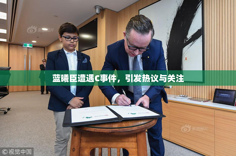 蓝曦臣遭遇C事件，引发热议与关注