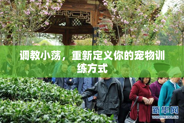 调教小荡，重新定义你的宠物训练方式