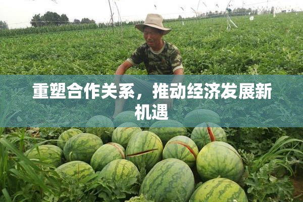 重塑合作关系，推动经济发展新机遇
