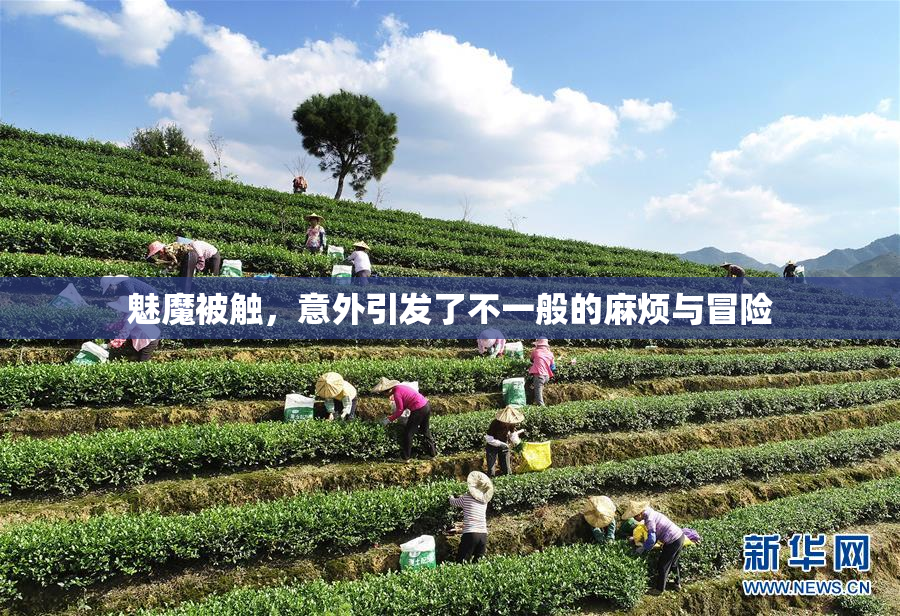 魅魔被触，意外引发了不一般的麻烦与冒险