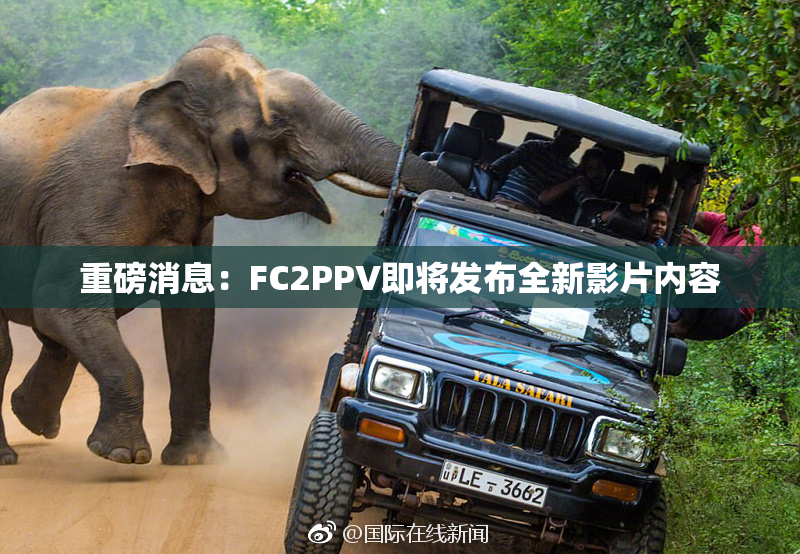 重磅消息：FC2PPV即将发布全新影片内容
