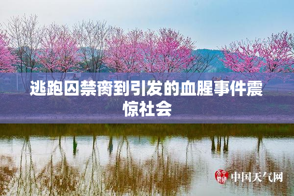 逃跑囚禁脔到引发的血腥事件震惊社会