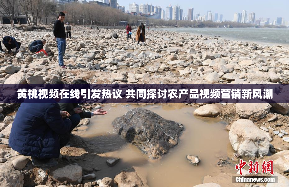 黄桃视频在线引发热议 共同探讨农产品视频营销新风潮