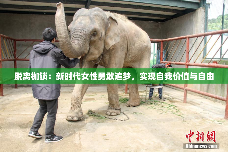 脱离枷锁：新时代女性勇敢追梦，实现自我价值与自由