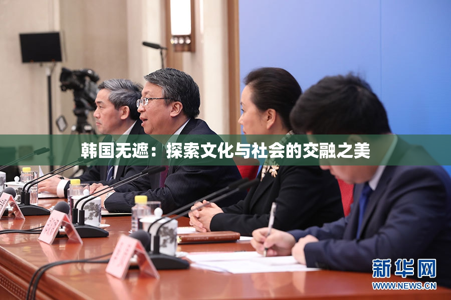 韩国无遮：探索文化与社会的交融之美