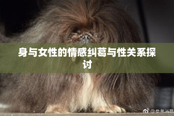 身与女性的情感纠葛与性关系探讨
