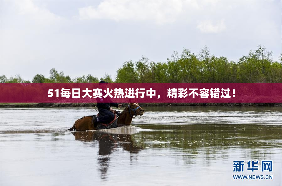 51每日大赛火热进行中，精彩不容错过！
