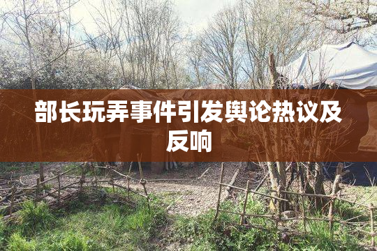 部长玩弄事件引发舆论热议及反响