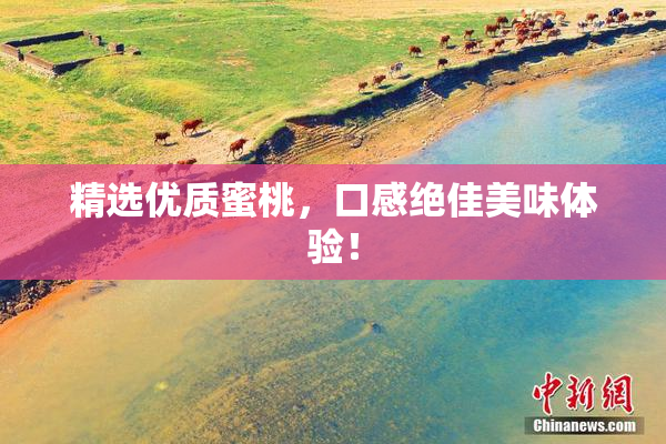 精选优质蜜桃，口感绝佳美味体验！